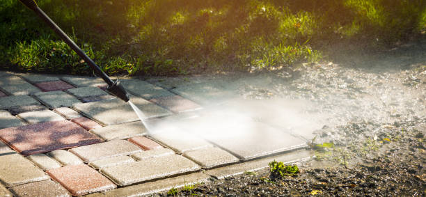 Best Vinyl Siding Pressure Washing in Frederick, MD